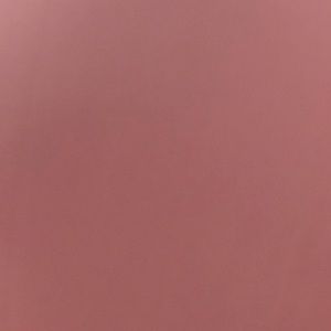 Meet your Posher, Lidiya